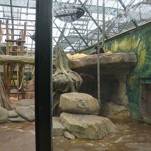Chimp Enclosure at Beauval, 12/06/18