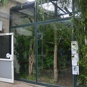 Marmoset and Tamarin Outdoor Enclosures at Beauval, 12/06/18