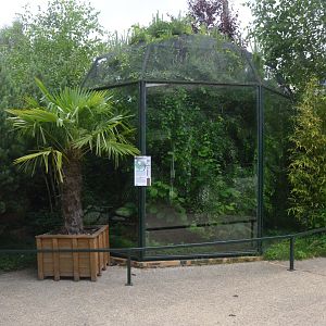 Marmoset and Tamarin Outdoor Enclosures at Beauval, 12/06/18