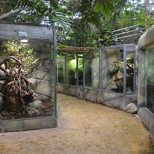 Vivarium Interior at Beauval, 12/06/18