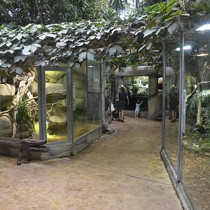 Vivarium Interior at Beauval, 12/06/18