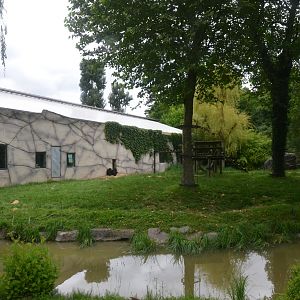 Chimp Enclosure at Beauval, 12/06/18