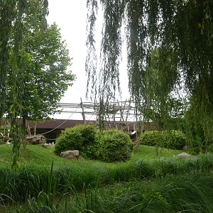 Gorilla and Patas Monkey Enclosure at Beauval, 12/06/18