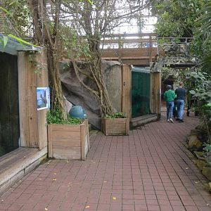 Upper Level Manatee Viewing at Beauval, 12/06/18