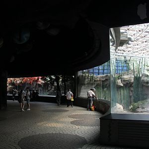 giant panda exhibit