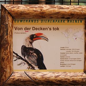 Sign Von der Decken's hornbill