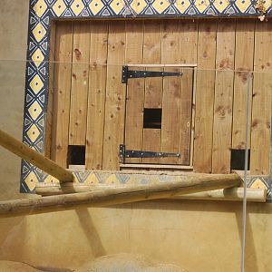 New additions to Aardvark Burrow?