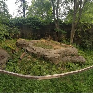 Aug. 2018 - Dragons! - Komodo Dragon Exhibit Panorama