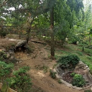 Aug. 2018 - Wolf Woods - 13,000 sq ft Mexican Wolf Exhibit