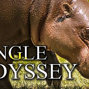 Zoo Tours: Jungle Odyssey
