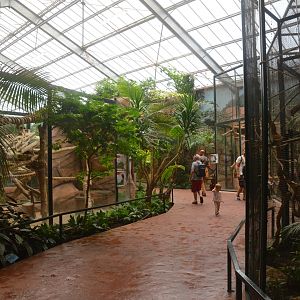 Tree Kangaroo/Bettong Enclosures at Beauval, 12/06/18