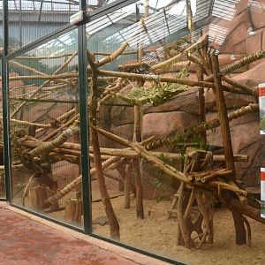 Tree Kangaroo/Bettong Enclosure at Beauval, 12/06/18