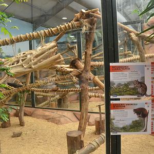 Tree Kangaroo/Bettong Enclosure at Beauval, 12/06/18