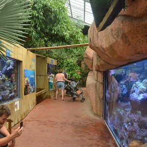Australia House Aquaria at Beauval, 12/06/18