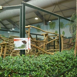 Tree Kangaroo/Bettong Enclosure at Beauval, 12/06/18