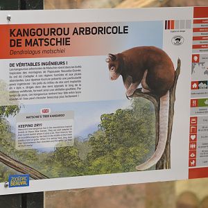 Signage Example at Beauval, 12/06/18