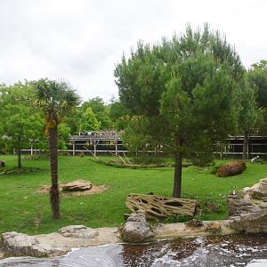 Deer, Tapir and Crane Paddock at Beauval, 12/06/18