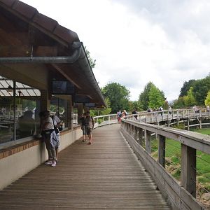 Asia Section Viewing at Beauval, 12/06/18