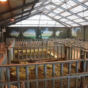 Indian Rhino House at Beauval, 12/06/18