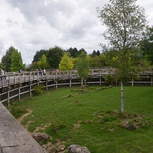 Deer, Tapir and Crane Paddock at Beauval, 12/06/18