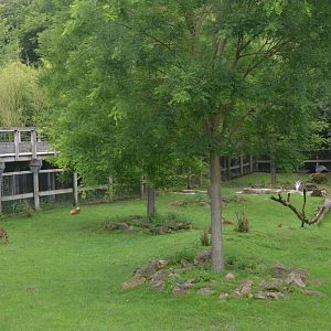 Deer, Tapir and Crane Paddock at Beauval, 12/06/18