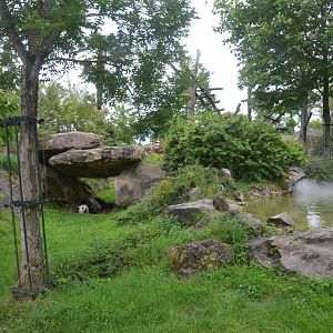 Giant Panda Enclosure at Beauval, 12/06/18