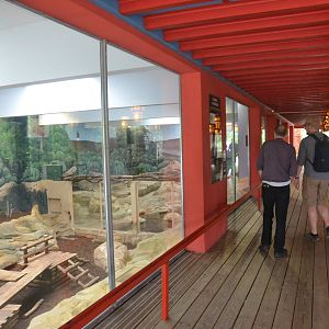 Giant Panda Enclosure at Beauval, 12/06/18