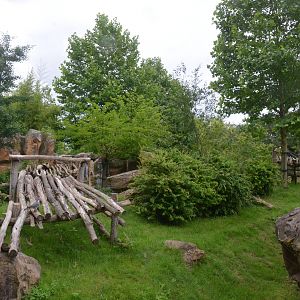 Giant Panda Enclosure at Beauval, 12/06/18