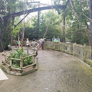Aug. 2018 (Newly Reopened) Free Flight Aviary (12 Species)