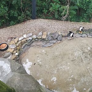 Aug. 2018 - (Newly Reopened) Free Flight Aviary (12 Species)