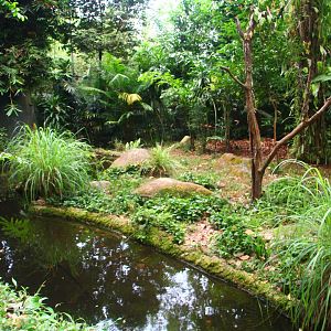 Fishing Cat Trail - Fishing Cat exhibit