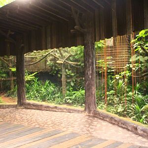 Fishing Cat Trail - Sumatran Palm Civet exhibit