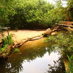 Fishing Cat Trail - Indian Gharial exhibit