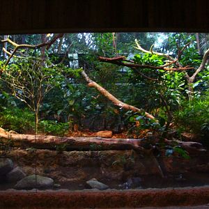 Leopard Trail - Owl exhibit