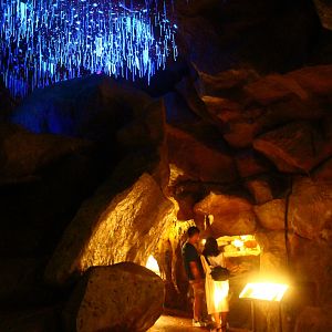 Wallaby Trail - Naracoorte Cave