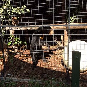 As I took this picture, she stood up on her hind legs