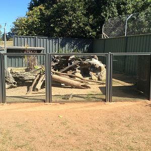 1 of 2 meerkat enclosures
