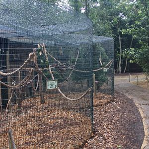 Typical enclosures (these ones for Amazon Parrots)