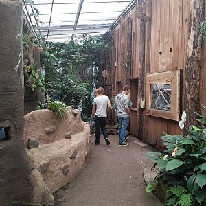 Small animal-enclosures Orangutan-house