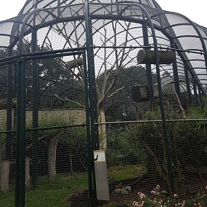 Flamingo - Ibis - Macaw aviary