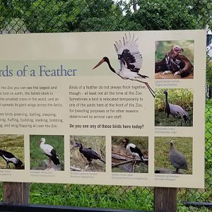 Temporary large bird enclosure