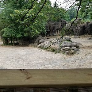 Front end of southern white rhino / plains zebra enclosure