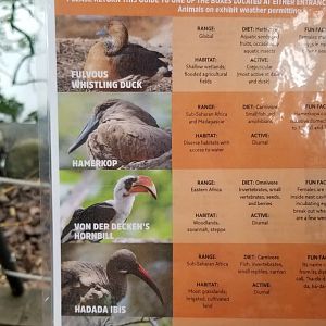 One side of African aviary ID guide