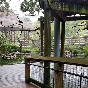 Bottom of African aviary