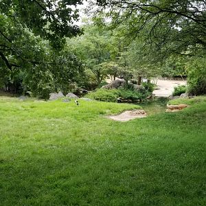Addra/kudu exhibit, with view of rhino/zebra exhibit