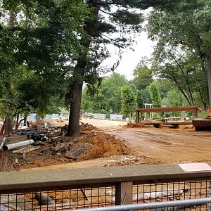 Construction in new Africa exhibit