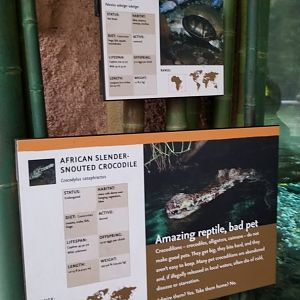 Sign for croc and turtles