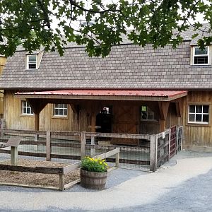 Front of alpaca barn