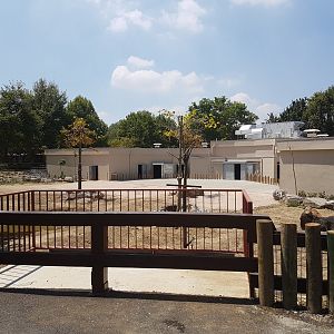 Rhinoceros enclosure (not open yet)