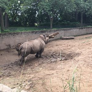 Harmon | Henry Vilas Zoo